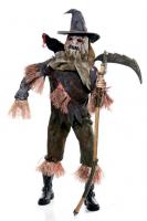 aa-wicked_scarecrow.jpg