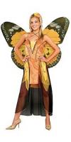 ff-Butterfly_Orange.jpeg