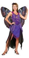 ff-Butterfly_Purple.jpeg