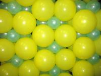 april_362.JPG