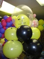 dogstrust_009.JPG