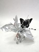 lion_head_025.JPG