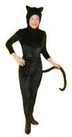 Supa-cat_suit.jpg