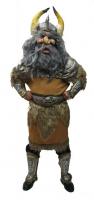 Viking_oversized.JPG