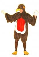 z-Robin_Redbreast.jpg