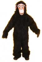 z-cheeky_chimp_new.jpg