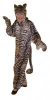 z-tabby_cat.jpg