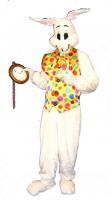 z-white_rabbit.jpg